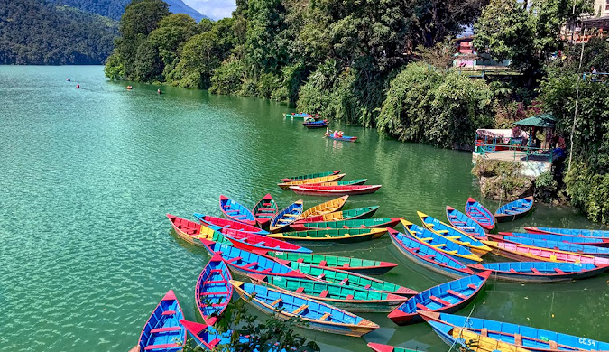 a lot of colorful boats resting in green lake of pokhara.