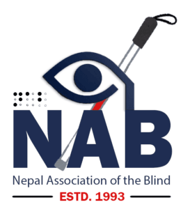 Logo og NAB